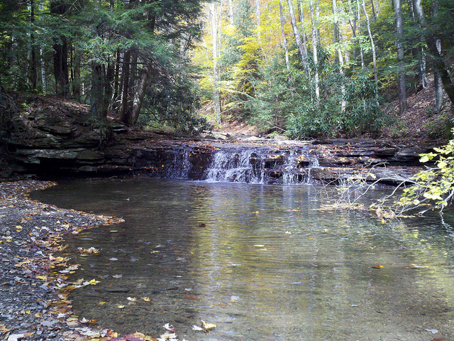 Escape to Serenity: Your Guide to Maryland's Potomac State Forest